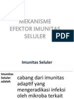 Efektor Imunitas