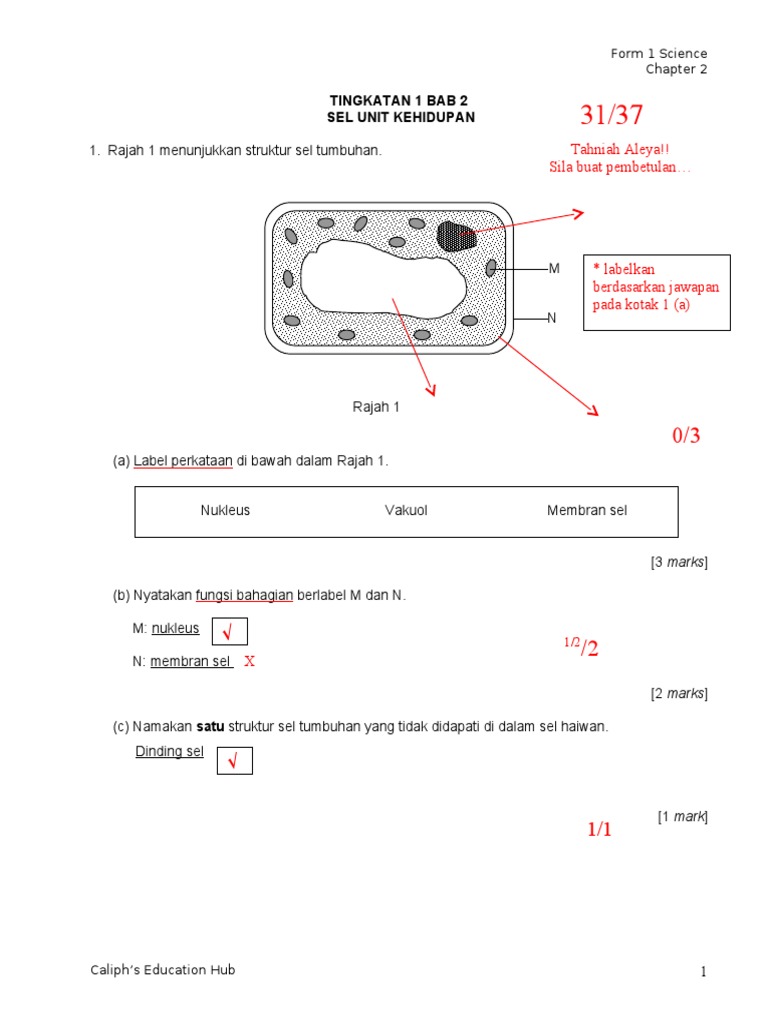 Latihan Sains Ting 1 Bab 2 Pdf
