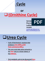 Urea Cycle: Converting Ammonia to Urea in the Liver