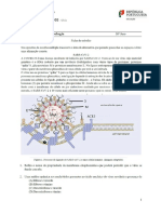 Ficha de Trabalho Sobre o Corona Virus 2019-2020