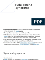 Cauda Equina Syndrome: Understanding CES Signs, Causes and ASIA Score Assessment