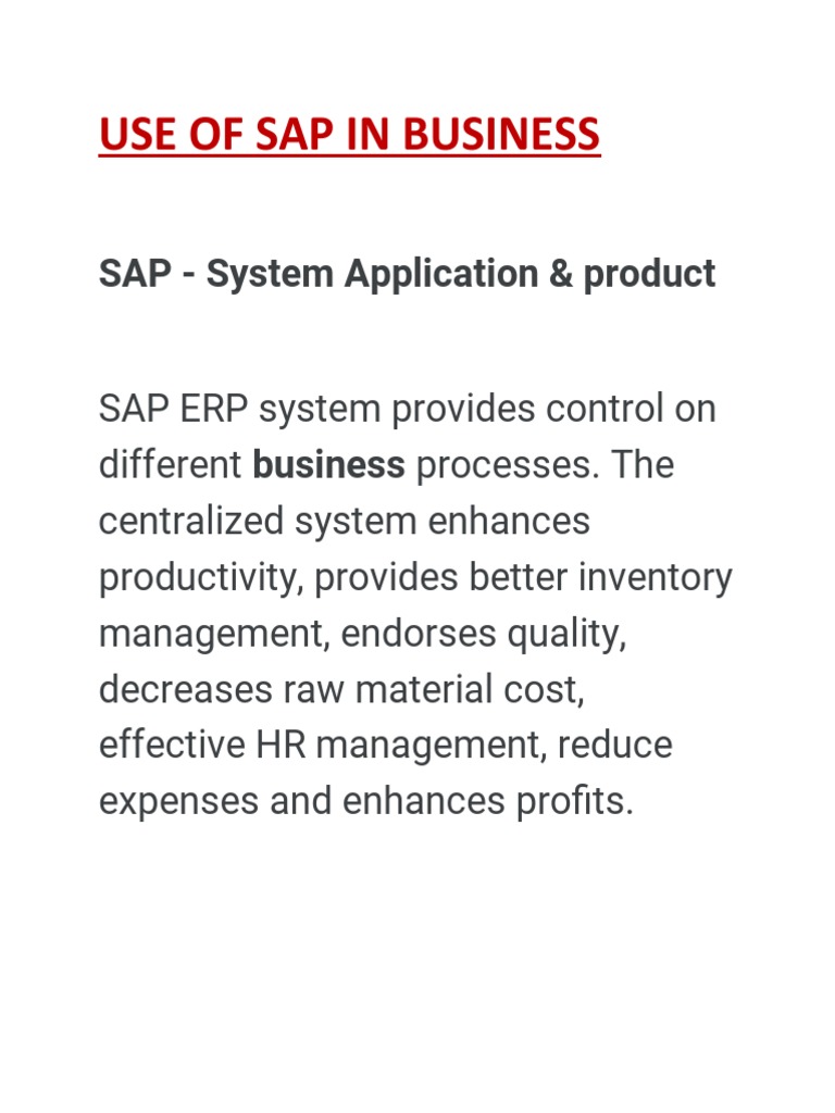 E - Business SAP (1) - 1 | PDF | Finance & Money Management | Computers