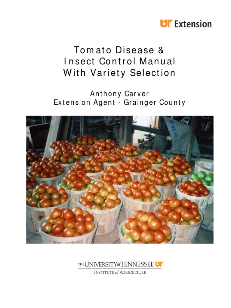 Tomato Disease and Insect Control Guide | PDF | Tomato | Pest Control