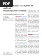 Download Adactilia Cat by jugomuro SN45808326 doc pdf