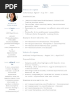 Elegance CV Template