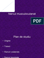 n-musculocutanat.ppt