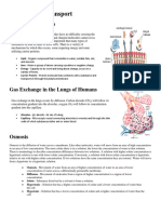 Cellular Transport Notes