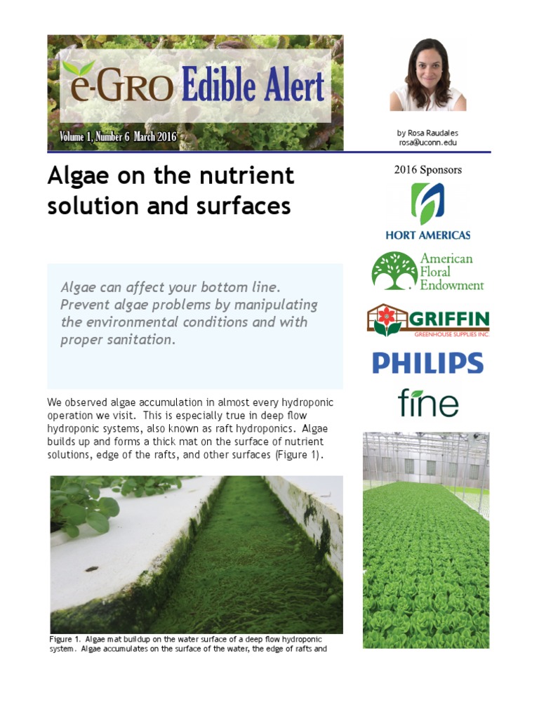 E106 PDF | PDF | Hydroponics | Plants