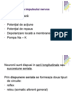 Curs Neuropsihologie 2011-2012 Partea 2