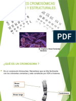 Alteraciones - Cromosomicas Dr. Virgilio Pérez