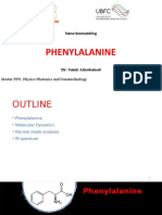 Phenylalanine: Nano-Biomodeling