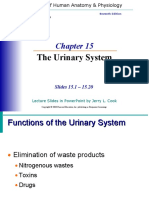 Chapter 15 Urinary