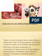 Análisis de Un Hemograma Canino