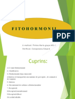 Fitohormonii