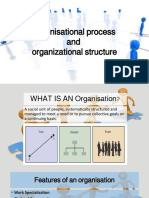 Organisational Process MPOB