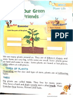 Class II - Science. Chap. 1 - Our Green Friends