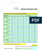 431_CalculoGastoEnergético