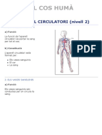Circulatori Nivell2