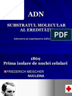 ADN-structura Primara Si Secundara. Transcriptia C 4