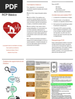Triptico RCP Extrahospitalario Final