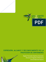 Expresión, Alcance y Reconocimiento de La Profesión de Enfermería - Angela Espinosa