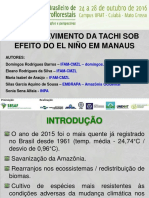 Apresentação Domingos SAF 2020