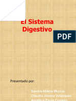 El Sistema Digestivo Final