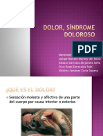 Dolorysindromedoloroso 120311134418 Phpapp01