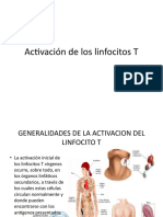 Activación de Los Linfocitos T