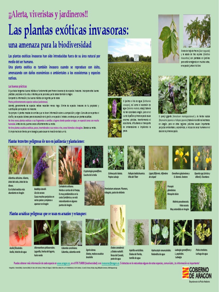 Plantas Exoticas Invasoras Amenaza Biodiversidad | PDF | Especies ...