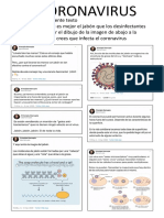 CORONAVIRUS FPB