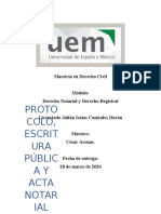 Protocolo, Escritura y Acta Noitarial