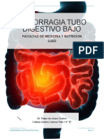 Hemorragia de Tubo Digestivo Bajo