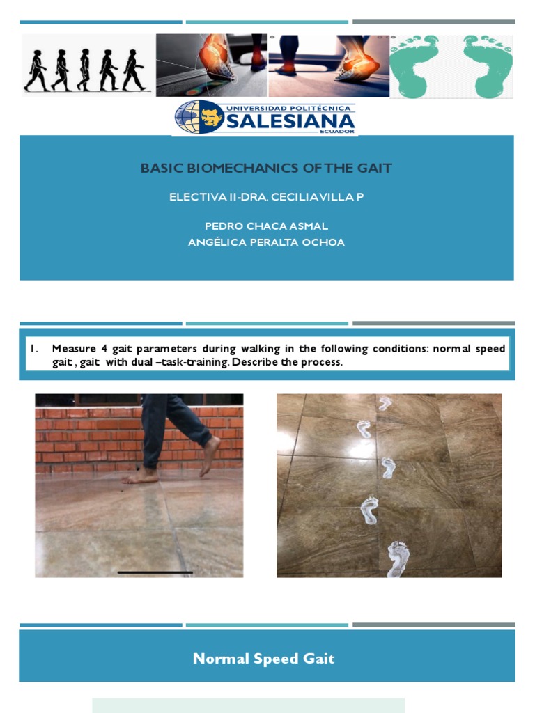 Basic Biomechanics of The Gait | PDF | Terrestrial Locomotion | Sensor