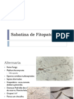 Sabatina de Fitopatologia I.pdf