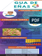 Infografía LENGUA DE SEÑAS