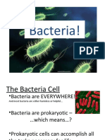 bacteriapresentation-090225191548-phpapp02