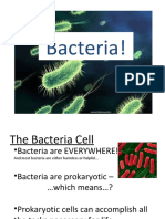 Bacteriapresentation 090225191548 Phpapp02