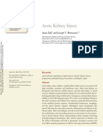 Acute Kidney Injuru 2016 Review PDF