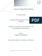 Unidad 3. El Papel de La Socializacion en La Criminalidad Criminalizacion PDF