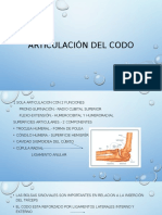 Articulación Del Codo