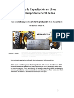neumaticos.pdf
