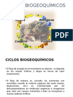 Ciclos biogeoquímicos