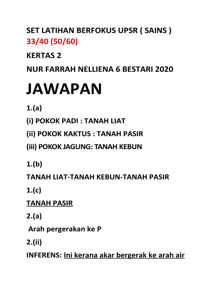 Set Latihan Berfokus Upsr Jawapan Kertas 2 Nelliena Pdf