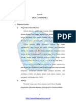 Bab Ii PDF