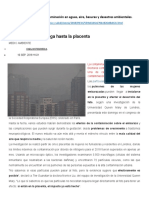 4 Noticias Sobre La Contaminación - Biotecnologia