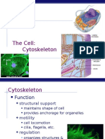 The Cell: Cytoskeleton: AP Biology