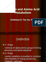 Protein and Amino Acid Metabolism