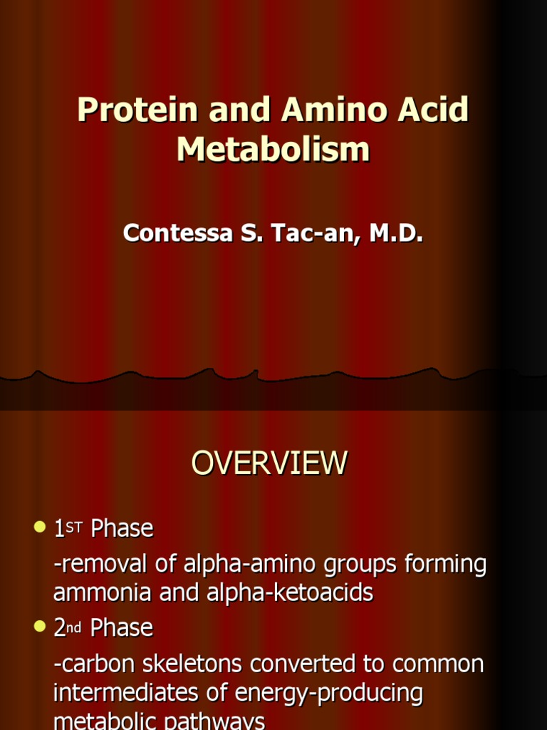Protein and Amino Acid Metabolism PDF Transaminase Amino Acid