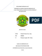 Manajemen Keperawatan (LP MPKP) - Thenesia sesa 19062082.docx